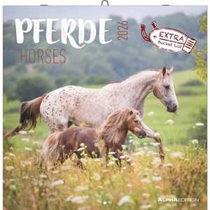 Cartoleria ALPHA EDITION - Calendario 2026 da muro, 12 mesi, 30x30 cm, Horses Alpha Edition